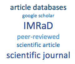 imrad research paper example